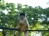 img0088.jpg