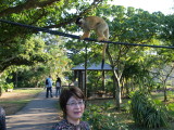 img0089.jpg