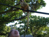 img0090.jpg