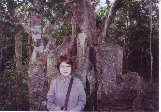 img0008.jpg