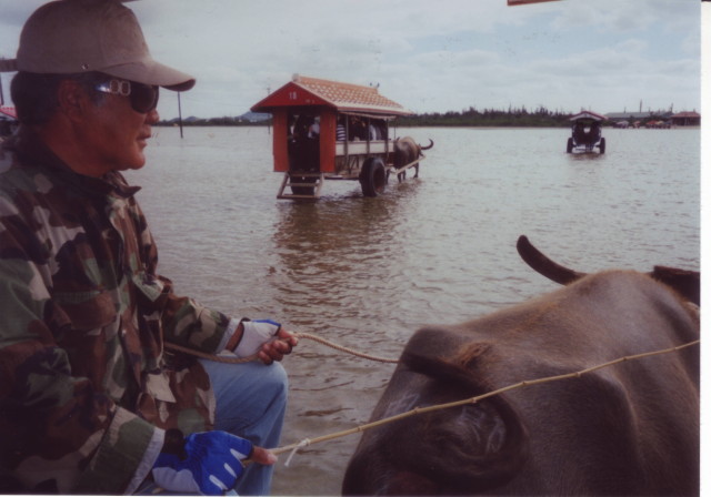 img0016.jpg