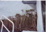 img0000.jpg