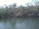 img0005.jpg