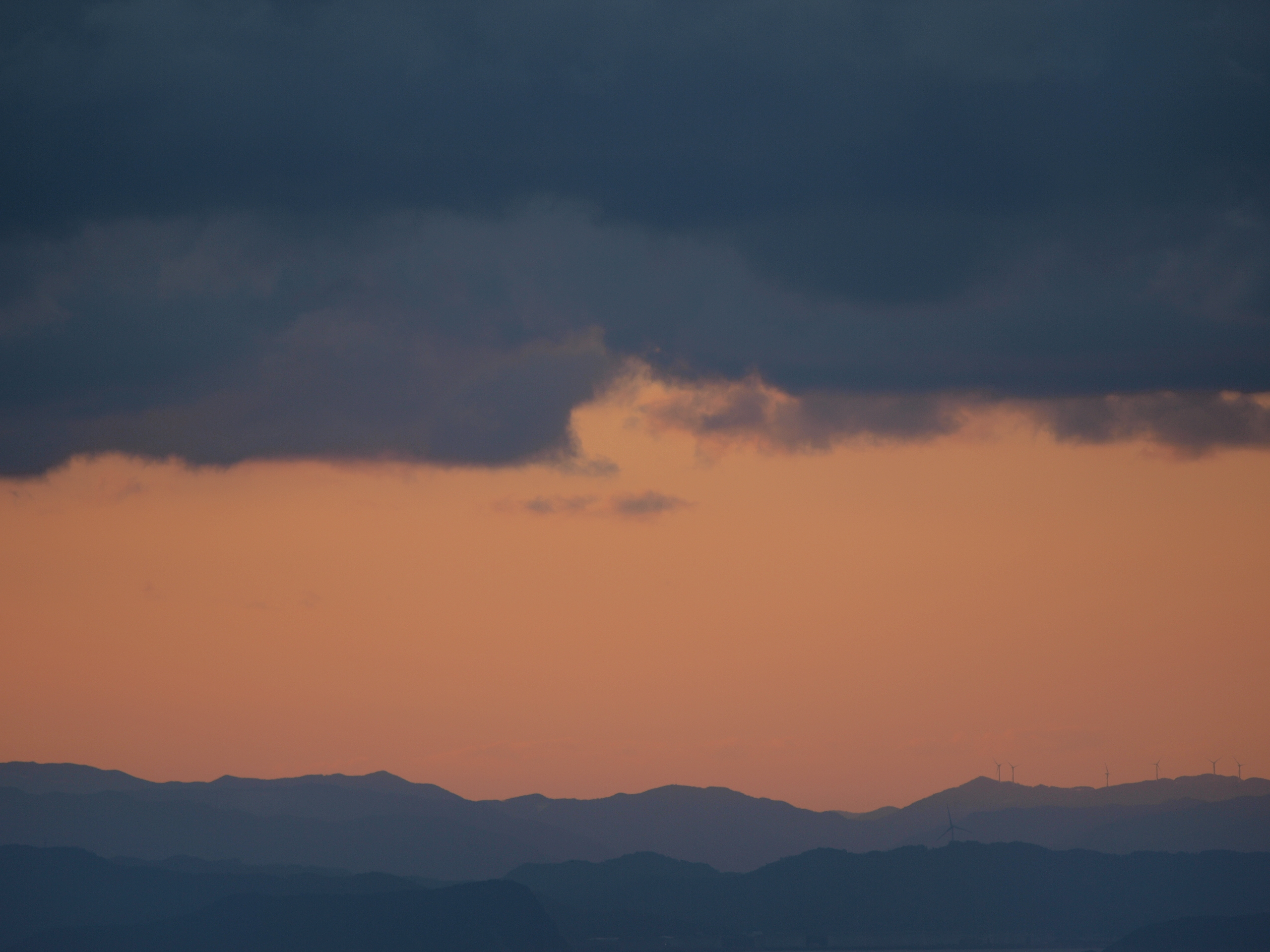P1012591.JPG
