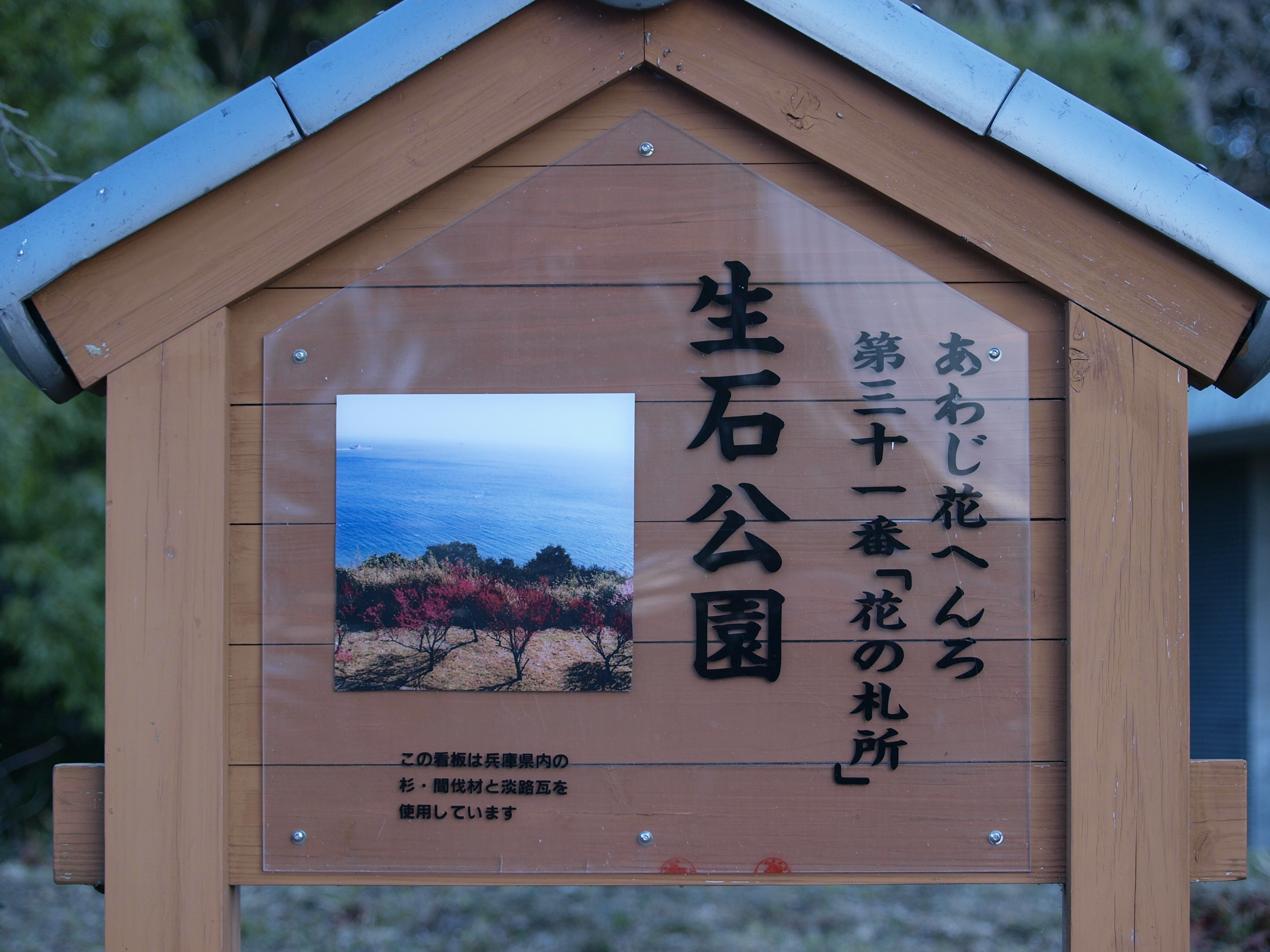 P1012619.JPG