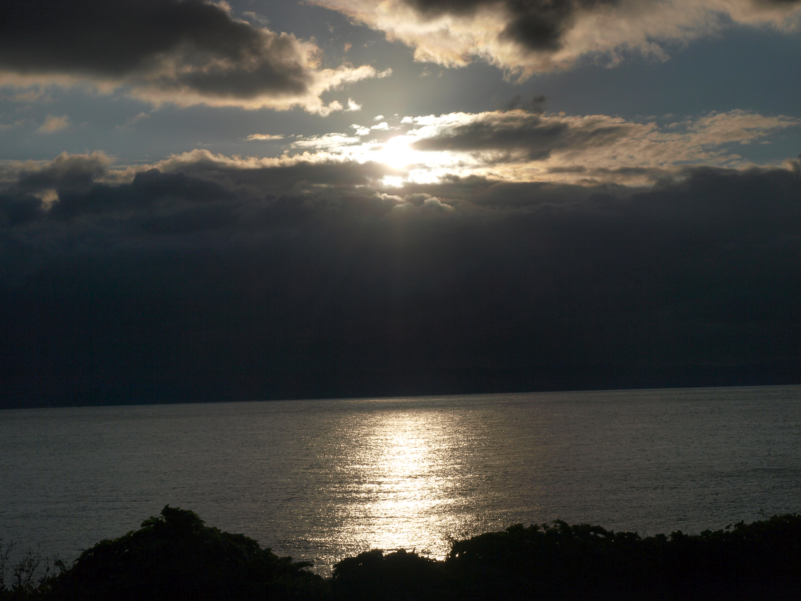 P1012644.JPG