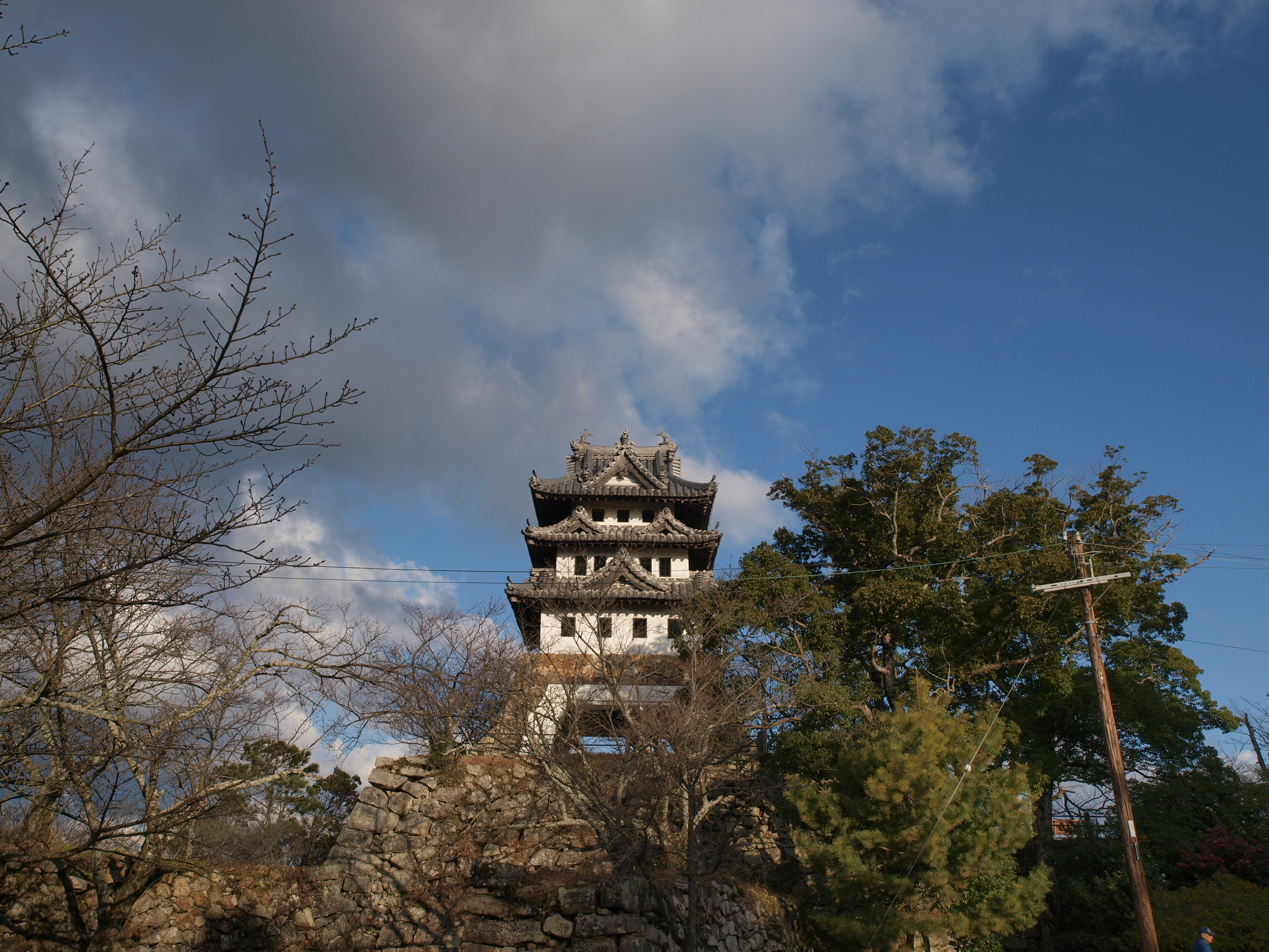 P1012646.JPG