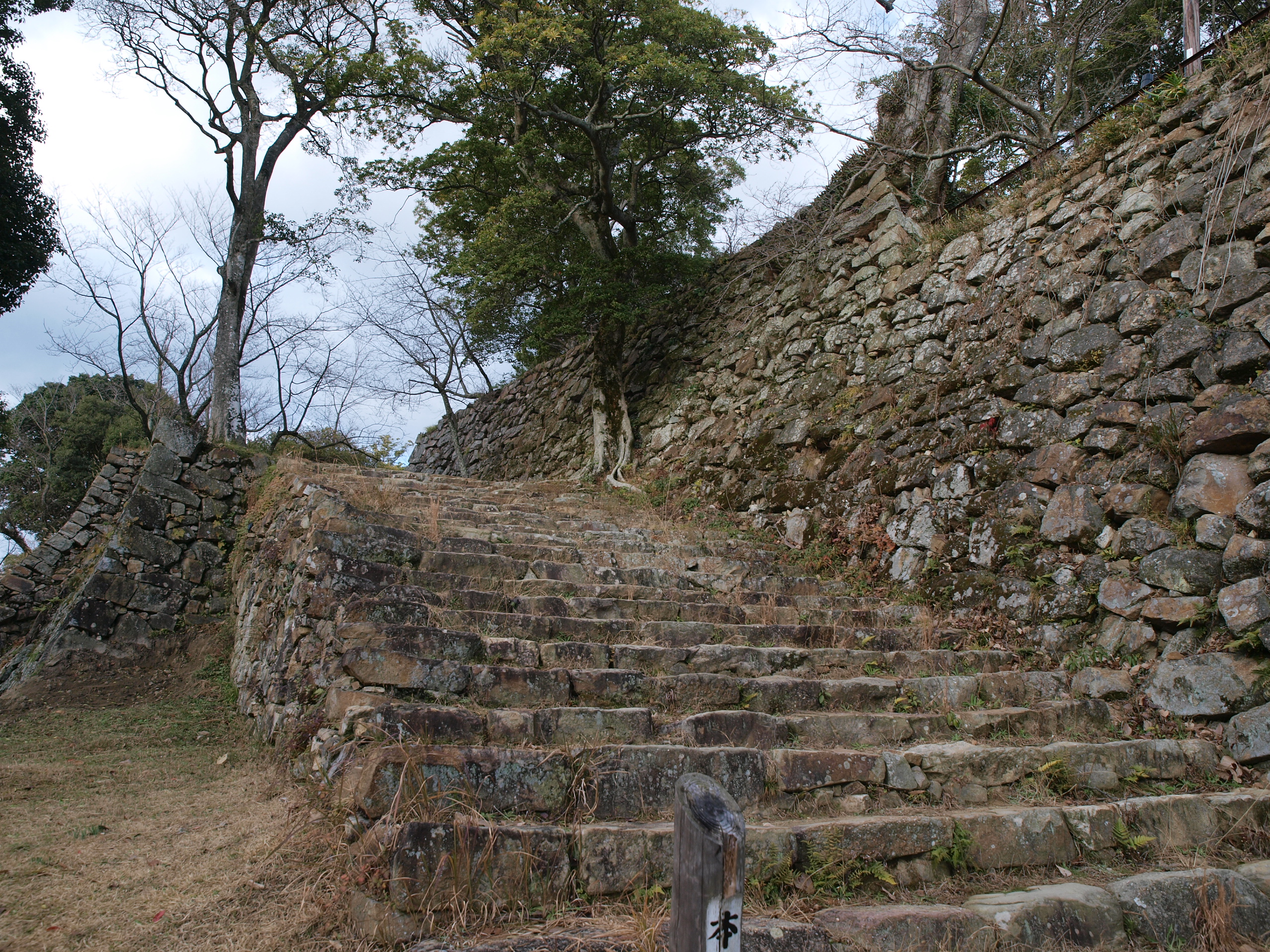 P1012655.JPG