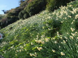 img0082.jpg
