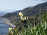 img0090.jpg