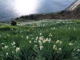img0091.jpg