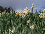 img0098.jpg