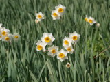 img0100.jpg