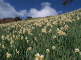 img0102.jpg