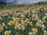 img0103.jpg