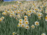 img0104.jpg