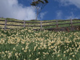 img0108.jpg