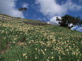img0109.jpg
