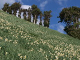 img0110.jpg