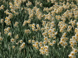 img0114.jpg
