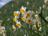 img0116.jpg