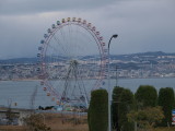 img0137.jpg
