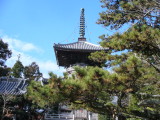 img0004.jpg