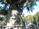 img0021.jpg