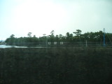 img0024.jpg