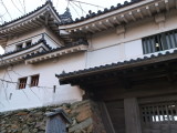 img0037.jpg