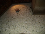 img0024.jpg