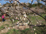 img0011.jpg