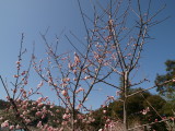 img0014.jpg