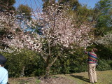 img0018.jpg