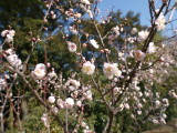 img0021.jpg