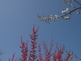 img0022.jpg