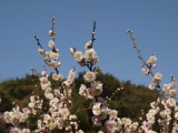 img0032.jpg