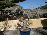 img0038.jpg