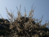 img0042.jpg