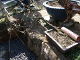 img0043.jpg