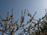 img0044.jpg