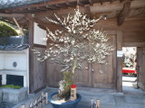 img0046.jpg
