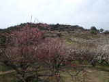 img0025.jpg