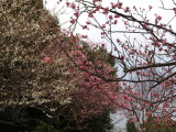 img0027.jpg
