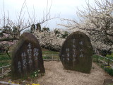 img0028.jpg