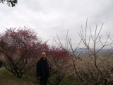 img0044.jpg
