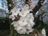 img0004.jpg