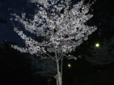 img0002.jpg