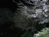 img0005.jpg