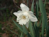 img0014.jpg